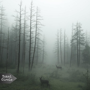 Stars in the Nightsky