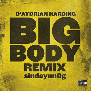 BIG BODY (D’AYDRIAN HARDING REMIX)