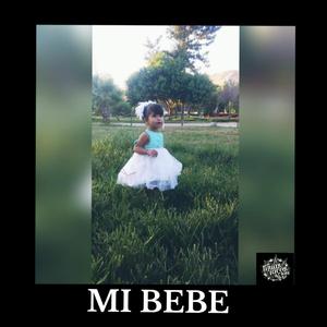 MI BEBÉ (feat. LANOTADELTERROR & BOSICK LCS13)