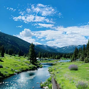 最怕突然听懂一首歌