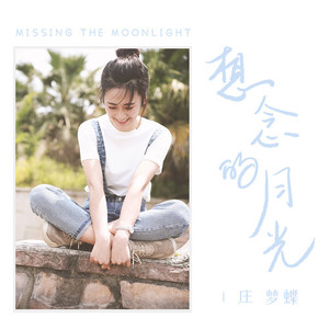 想念的月光