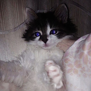 人生无处不青山