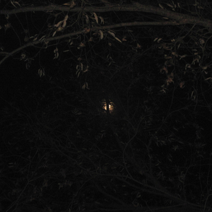 剖析（Prod.Siren&EVO MUSIC）