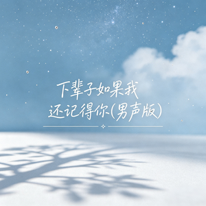 下辈子如果我还记得你(男声版)