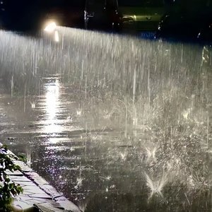 《断联保质期》