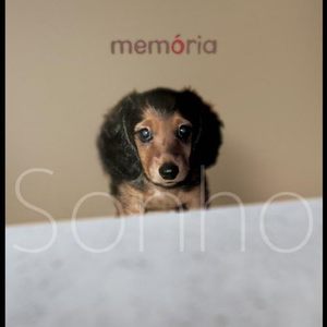 ひとりぼっちのクリスマス