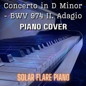 Concerto in D Minor - BWV 974 II. Adagio| Piano Cover