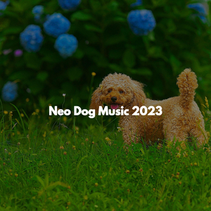 Music (Serene)