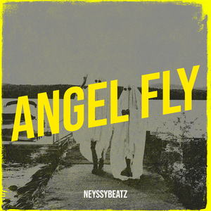 Angel Fly
