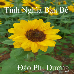 Xa người yêu 2