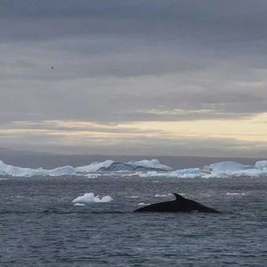 兴尽悲来识盈虚之志