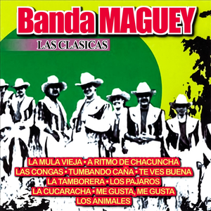 Tumbando Cana
