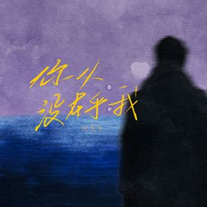 你从没在乎我