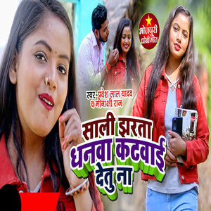 Sali Jharta Dhanwa Katvayi Detu Na