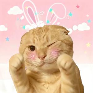 一点点（哈基米版）