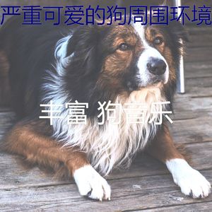 柔和的可爱的狗时刻
