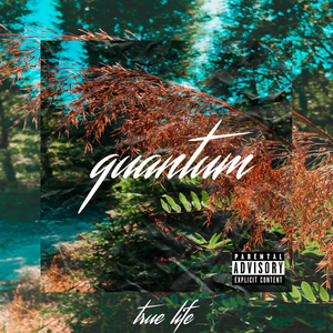 Правдивая жизнь