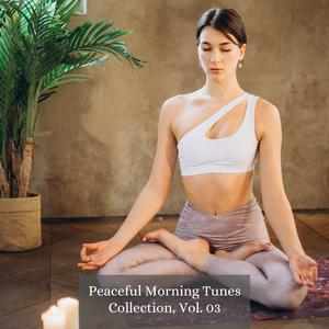 Meditation for Strength 39.00 Hz