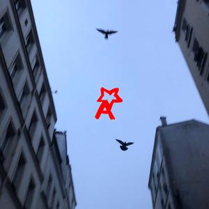 Long Live the View (Live)