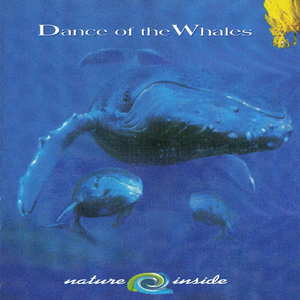 Whale Song