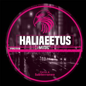 Subterraneo (Original Mix)