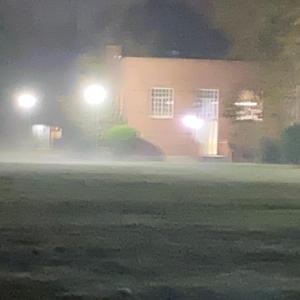 braindead (feat. loseher)