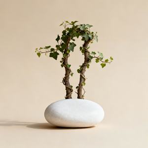 此生恩爱长相依