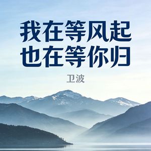 我在等风起也在等你归
