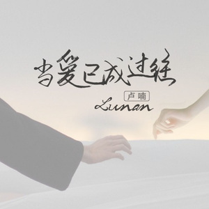 当爱已成过往 (DJ版)