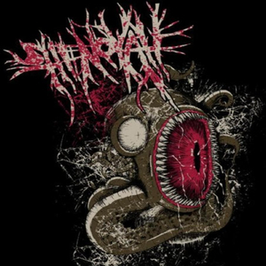 Proceso de Eliminación