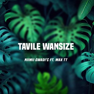 Tavile Wansize