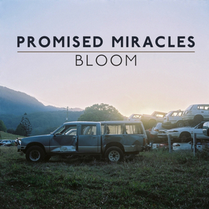 Diaspora (Japanese Wallpaper Remix)