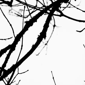 Barnkonventionen - bästa lagen (feat. Högadalsskolan 5a)