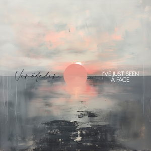 I've Just Seen A Face