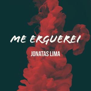 Me Erguerei