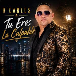 Tu Eres La Culpable