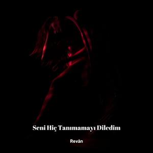 Seni Hiç Tanımamayı Diledim