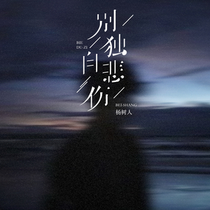 别独自悲伤 (DJ德朋版)