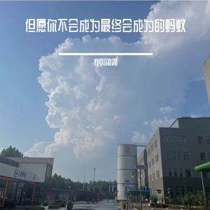 但愿你不会成为最终会成为的蚂蚁