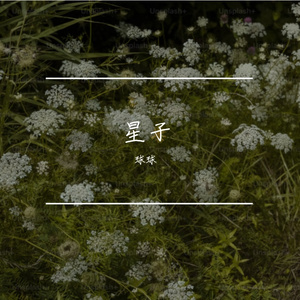 星子