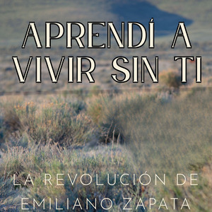 Vagare