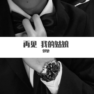 再见我的姑娘 伴奏