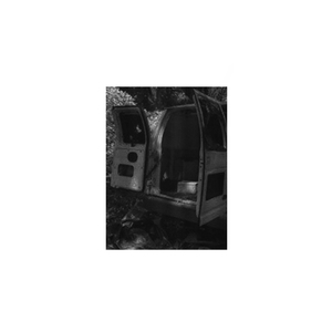 Von Neumann Replicator