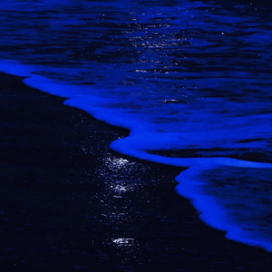 不再联系（片段）