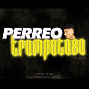 PERREO TROMPETOSO
