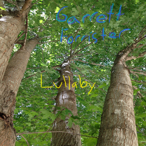 Butterflew Flutterby