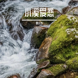 光芒绽放