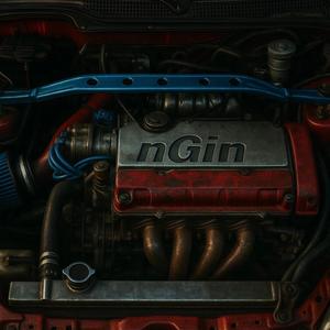 nGin