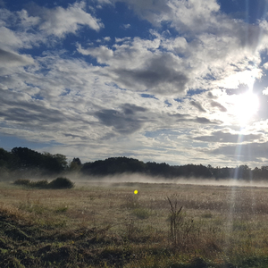 Proroctwo z kropel i mgły (Chłody od wód) (feat. ORKIESTRA PROWINCJONALNA)