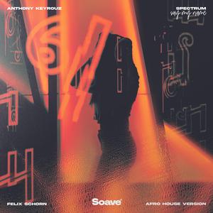 Spectrum (Say My Name) (Afro House Version)